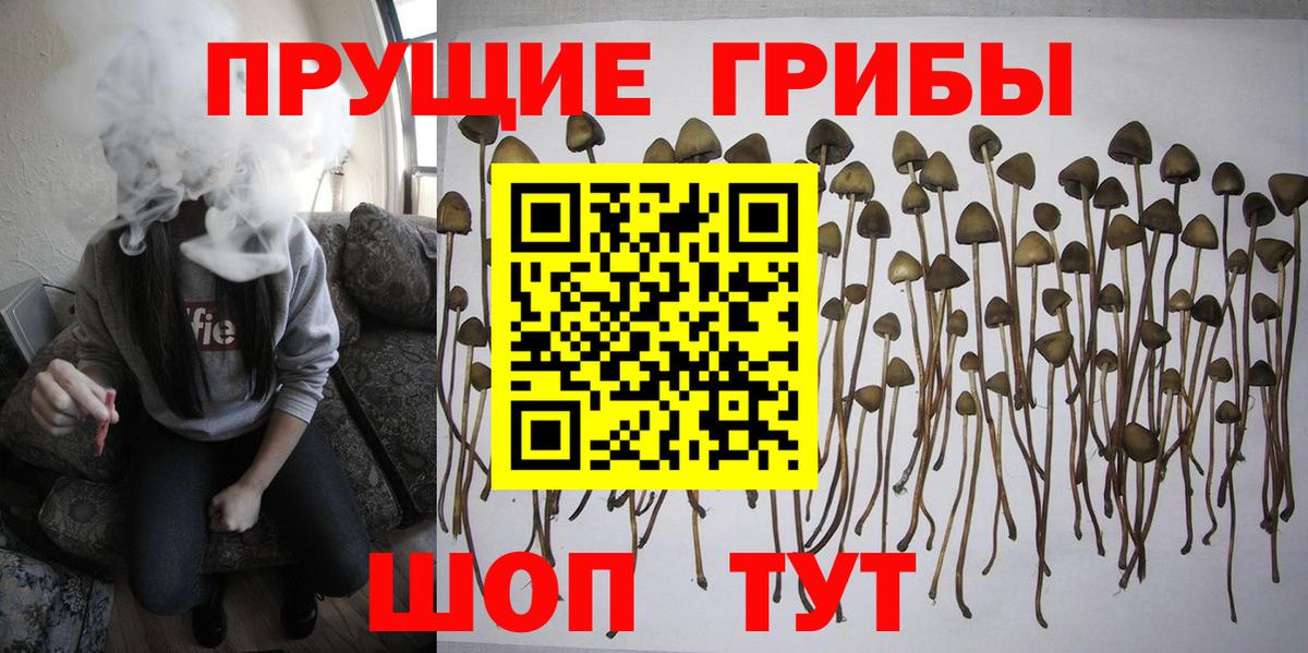 Братск  Галлюциногенные грибы Magic Shrooms  Псилоцибиновые грибы мухоморы  Вход с VPN 