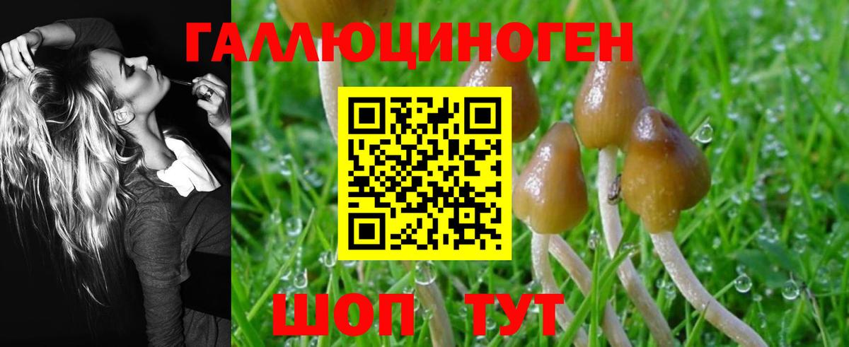Галлюциногенные грибы MAGIC MUSHROOMS Братск